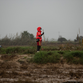 Un bombero realiza labores de búsqueda en L'Albufera, a 13 de noviembre de 2024.