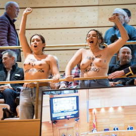 Dos activistas durante una acción de FEMEN durante un pleno en el Senado, en Madrid (España).