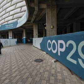 COP 29