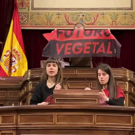 Militantes de Futuro Vegetal se pegan al atril del Congreso de los Diputados