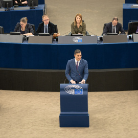 El ladrido de un perro se cuela en el Parlamento Europeo