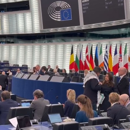 El Parlamento Europeo prohíbe al eurodiputado de IU Manu Pineda intervenir con el pañuelo palestino