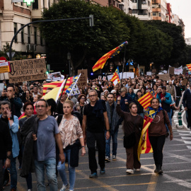 Arriba a València la columna de manifestants des de l'Horta Sud.