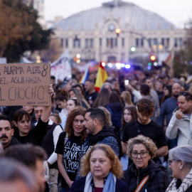 Manifestación Mazón