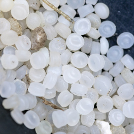  Pellets encontrados en la playa de Salinas, Asturias (España). Jorge Peteiro / Europa Press.