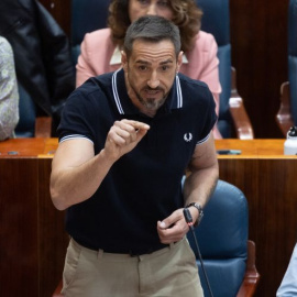 El diputado de Más Madrid en la Asamblea, Emilio Delgado.- EP