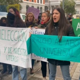 Protesta feminista contra la cumbre antiabortistas que se celebra en el Senado español