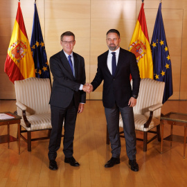 El lider del PP, Alberto Núñez Feijóo y el líder de VOX, Santiago Abascal, se saludan a su llegada a una reunión en el Congreso de los Diputados.