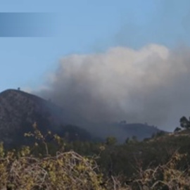 Setenta hectáreas quemadas y quince personas evacuadas en el incendio de Mallorca