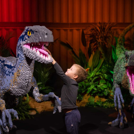 Un niño toca las esculturas de dos velociraptores construidas con piezas Lego: Foto: Anna Kucera, cedida por Proactiv Entertainment