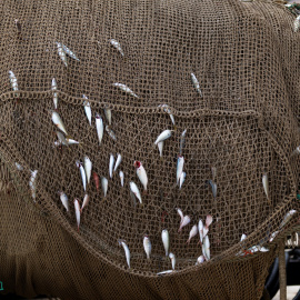 Materiales de pesca en el Puerto de Arenys, a 11 de diciembre de 2024, en Arenys de Mar, Barcelona, Catalunya.