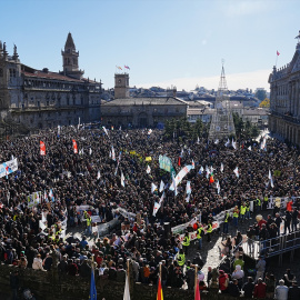 Imagen de una la manifestación contra Altri celebrada el pasado domingo en Santiago, con los participantes que pudieron acceder a la praza do Obradoiro