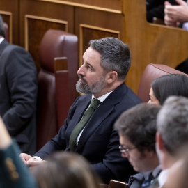 El líder de Vox, Santiago Abascal, durante una sesión plenaria, a 12 de diciembre de 2024, en Madrid (España).