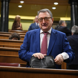 El portavoz del PNV en el Congreso, Aitor Esteban, a su llegada a un pleno en el Congreso