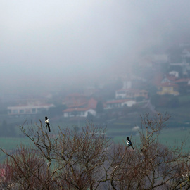 Los cielos nubosos con bancos de niebla en Asturias, a 26 de diciembre de 2024.