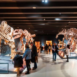 Exposición Dinosaurios de la Patagonia en CaixaForum Madrid.