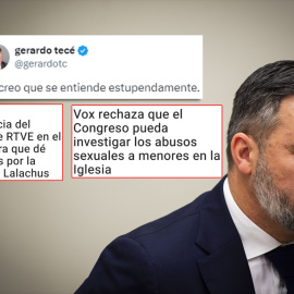 Montaje con el tuit de Gerardo Tecé sobre Vox.