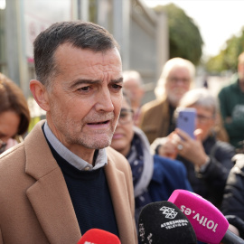 El coordinador federal de IU, Antonio Maíllo, durante un acto en Sevilla. Imagen de archivo.