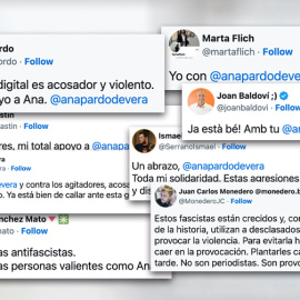 Reacciones de apoyo a Ana Pardo de Vera y contra el "fascismo digital".