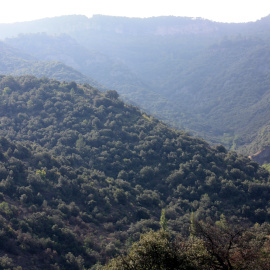 Pla general de l'entorn del Bosc de Poblet, a les Muntanyes de Prades