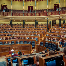 Vista general de una sesión plenaria extraordinaria, en el Congreso de los Diputados, a 22 de enero de 2025, en Madrid.