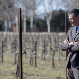 El presidente del Gobierno, Pedro Sánchez, durante el acto de presentación de la Estrategia Nacional de Alimentación, en el iHub La Vega Innova, a 6 de febrero de 2025, en San Fernando de Henares.