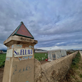 Terrenys de la finca de Santa Eulàlia que els pagesos de Santa Susanna (Maresme) ocupen des de fa més de 100 dies.