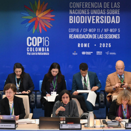 La presidenta de la COP16 de Biodiversidad y ministra de Medio Ambiente de Colombia, Susana Muhamad, durante la celebración de la cumbre, en Roma, a 15 de febrero de 2025.