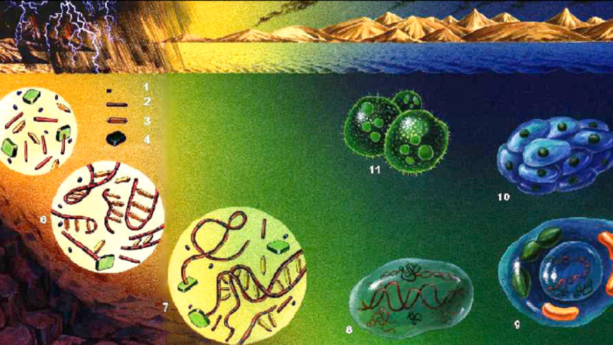 La receta del 'caldo primigenio' que alumbró la vida en la Tierra | Público
