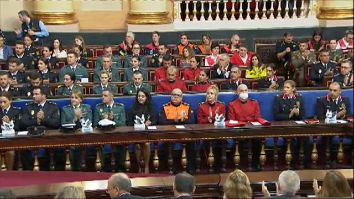 Homenaje en el Senado a las fuerzas de seguridad por su labor durante ...