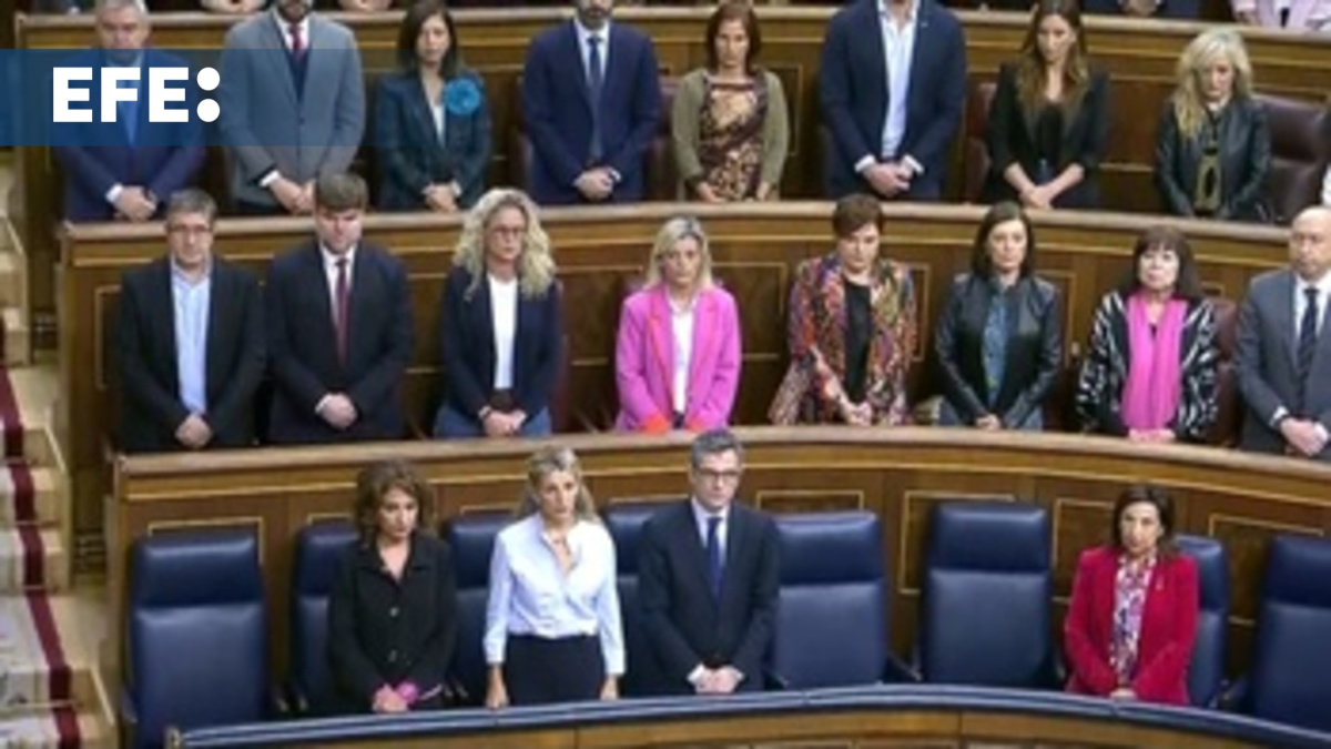 El Congreso guarda un minuto de silencio por las víctimas en las ...