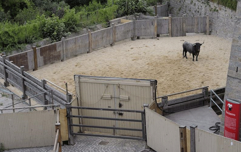 Uno de los seis toros de José Escolar, ganadería abulense debutante hoy en el quinto encierro de los sanfermines, ha regresado a los corrales de la cuesta de Santo Domingo./ EFE