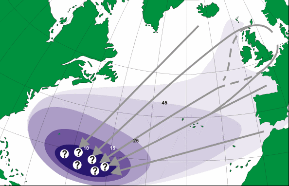 Rutas de migración de la anguila europea hacia el Mar de los Sargazos. Los números indican el tamaño de las larvas encontradas. /OTN