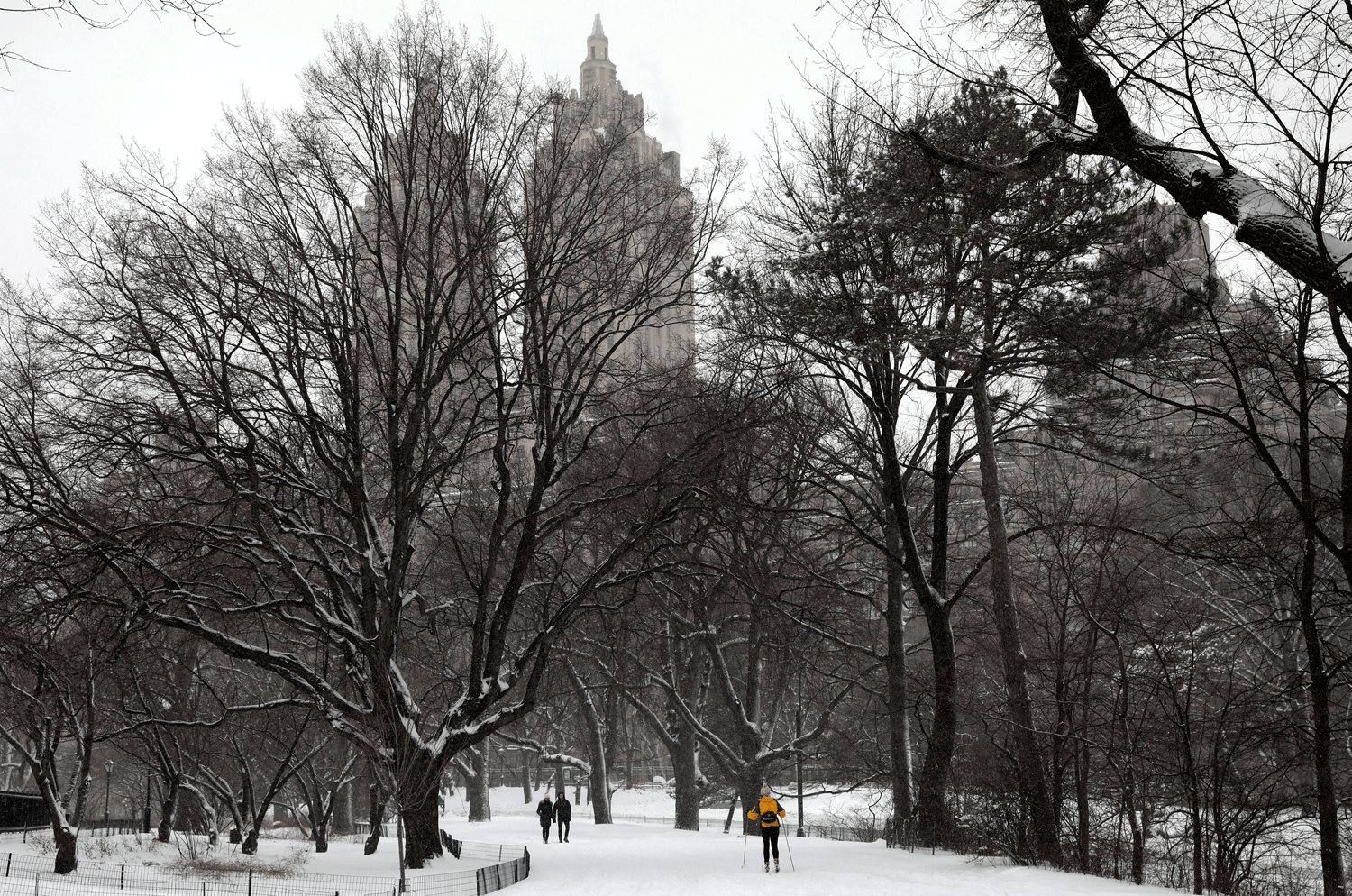 Central Park. REUTERS/Mike Segar